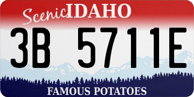 ID license plate 3B5711E