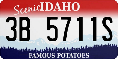 ID license plate 3B5711S