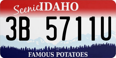 ID license plate 3B5711U