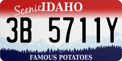 ID license plate 3B5711Y