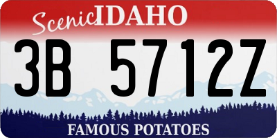 ID license plate 3B5712Z