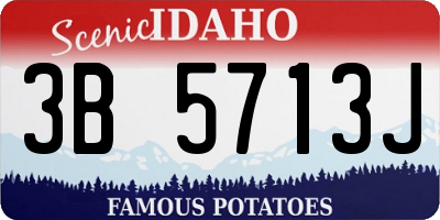 ID license plate 3B5713J