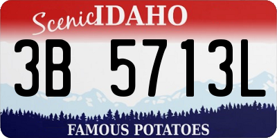 ID license plate 3B5713L