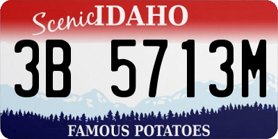 ID license plate 3B5713M