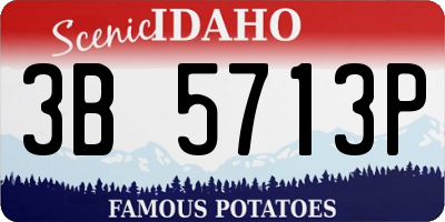 ID license plate 3B5713P
