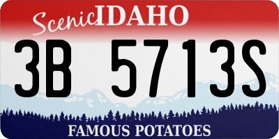 ID license plate 3B5713S