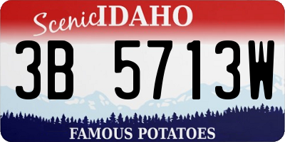 ID license plate 3B5713W