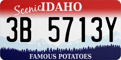 ID license plate 3B5713Y