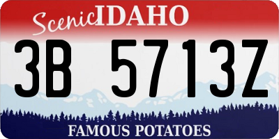 ID license plate 3B5713Z
