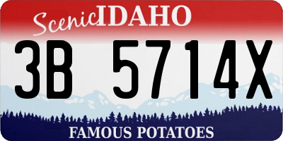 ID license plate 3B5714X
