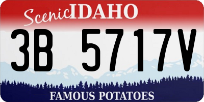 ID license plate 3B5717V