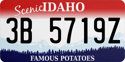 ID license plate 3B5719Z