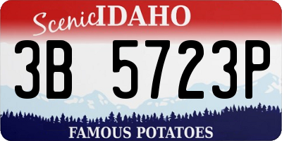ID license plate 3B5723P