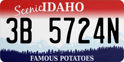 ID license plate 3B5724N