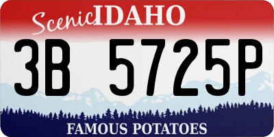 ID license plate 3B5725P
