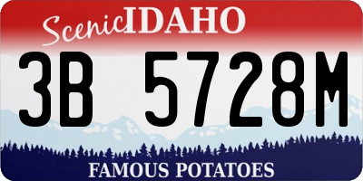 ID license plate 3B5728M