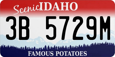 ID license plate 3B5729M