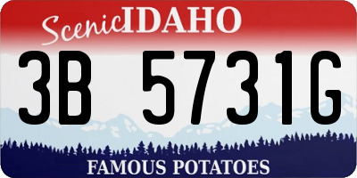 ID license plate 3B5731G