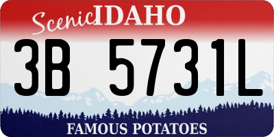ID license plate 3B5731L