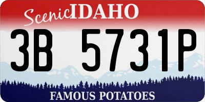ID license plate 3B5731P