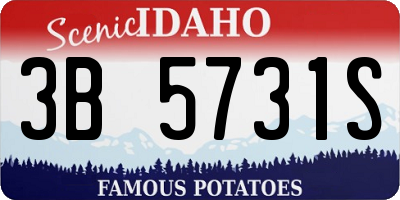 ID license plate 3B5731S