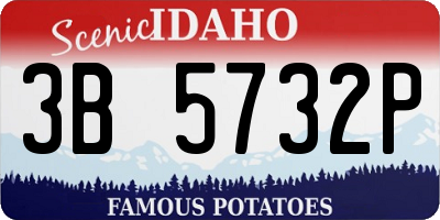 ID license plate 3B5732P
