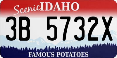 ID license plate 3B5732X