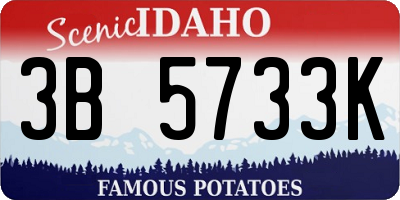 ID license plate 3B5733K