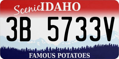 ID license plate 3B5733V