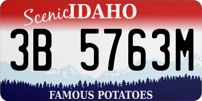 ID license plate 3B5763M