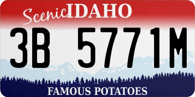 ID license plate 3B5771M