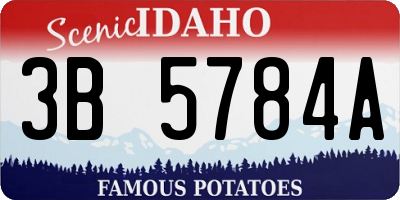 ID license plate 3B5784A