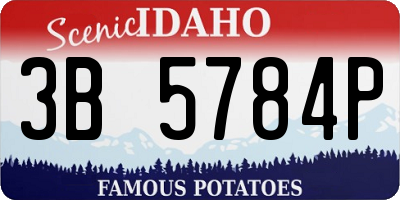 ID license plate 3B5784P