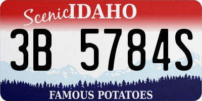 ID license plate 3B5784S