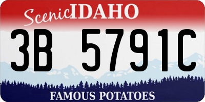 ID license plate 3B5791C