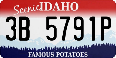 ID license plate 3B5791P