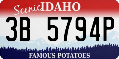ID license plate 3B5794P