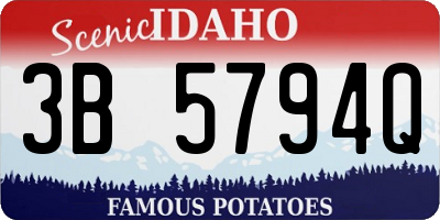 ID license plate 3B5794Q