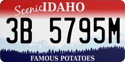 ID license plate 3B5795M