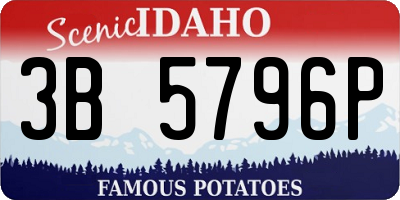ID license plate 3B5796P