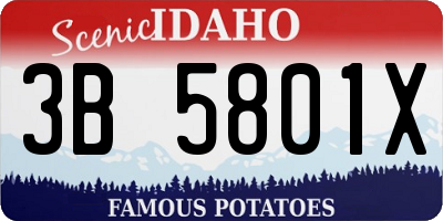 ID license plate 3B5801X