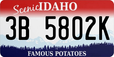 ID license plate 3B5802K