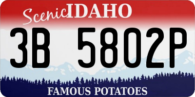 ID license plate 3B5802P