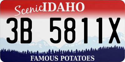 ID license plate 3B5811X