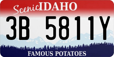 ID license plate 3B5811Y