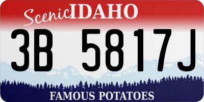 ID license plate 3B5817J