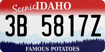 ID license plate 3B5817Z