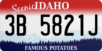 ID license plate 3B5821J