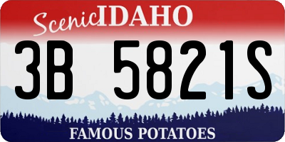 ID license plate 3B5821S