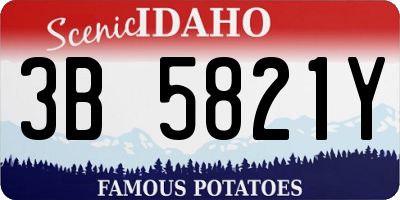 ID license plate 3B5821Y